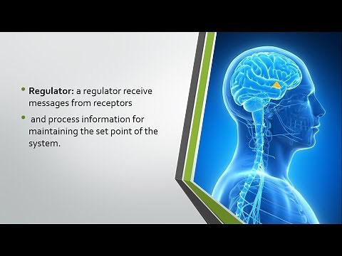 Feedback system and its components