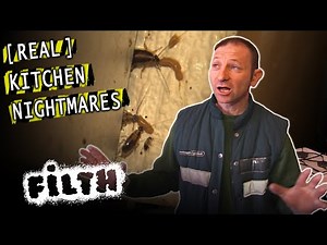 Exterminator Vs. Cockroach Infestation (feat. Pest-Control Pete)