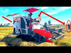 Kubota Rice Harvester in Action – Amazing Paddy Harvesting in Cambodia