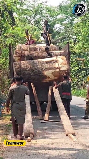 Massive Logs Loaded With Skill 🌲 #Logging #Woodwork #HeavyDuty