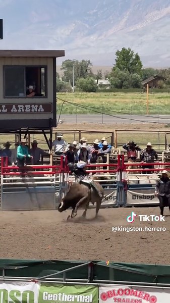 State Champion Bull Riding Experience