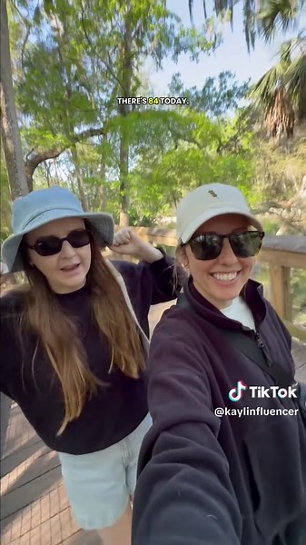 A quick little manatee search 🧐🕵️ great success! #manateesflorida #bluespring #manatees