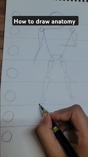 how to draw anatomy of anime easily.