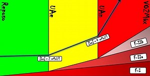 Cómo calcular los umbrales de entrenamiento - Planeta Triatlón