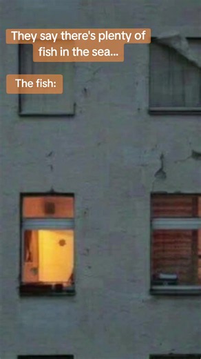 How to Start Dating Again — Funny Meme Cut About 'Plenty of Fish'
