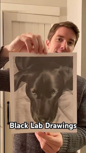 My Black Lab Drawings 🐕‍🦺. #blacklabs #dogdrawing #art