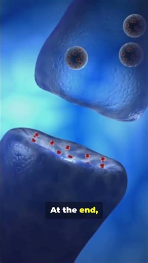 Your Brain’s Texts: Neurons in 45s