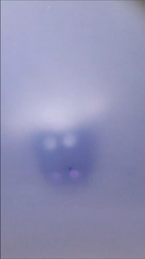 PDLC film! #science #physics #optics