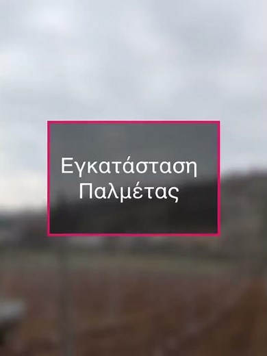 Εγκατάσταση Παλμετας σε κεράσι KatsamagkasAgro