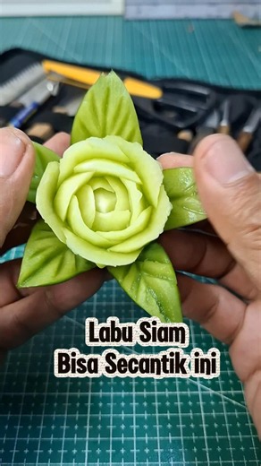 Labu Siam Bisa Jadi Bunga Secantik Ini 🌼