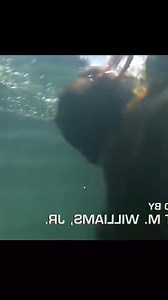 BEST NEW FILM NETFLIX 2024 | Bolo TV