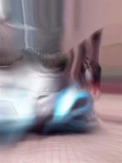 Which Shake should I do a tutorial on?