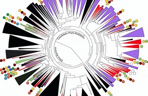New Bacteria Groups, Stunning Diversity, Found Underground | Berkeley Lab