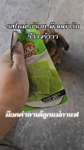 #VoiceEffects #รับรีวิวสินค้า #tiktokสัตว์เลี้ยง #ม๊อคค่าลาเต้ลูกกาแฟ #น่ารัก