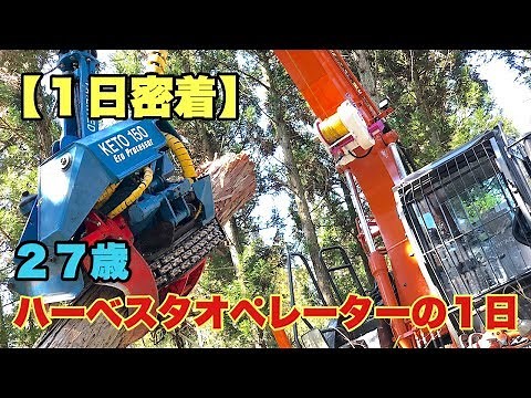 【林業】１日密着！ハーベスタオペレーター【重機】