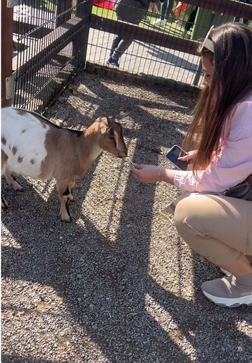 Explore the Wonders of the Animal Kingdom