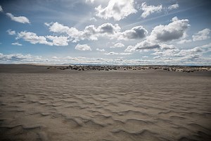 Season's greetings from the Lost Forest in Christmas Valley, Oregon! The dunes are the result of the same eruption that formed Crater Lake - and the patch of pines is the last remnant of an ancient forest from a cooler, wetter era in Oregon history. MORE: http://bit.ly/ChristmasValleyOR | KVAL News
