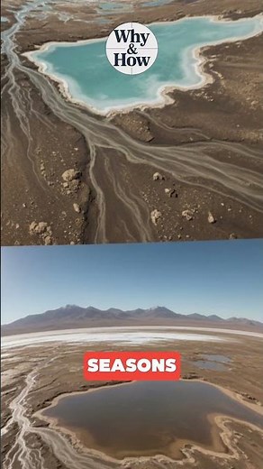 How long is a day on Mars?