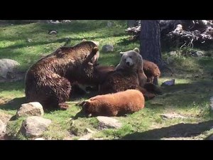 Borås Djurpark Maj 2016 - Boras Zoo