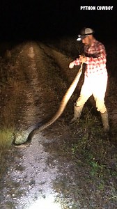 This python didn't stand a chance | Python Cowboy Hunts