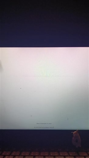 Tough Luck by Laufey: Lyrics and Song Details