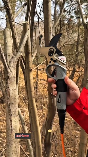 Powerful Electric Pruner Cutting Tree Branches with Easy & Fast Precision#pruning #stysifiying