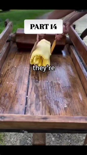 Confronting Workplace Betrayal: My Story of Resilience