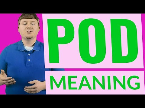 Pod | Definition of pod
