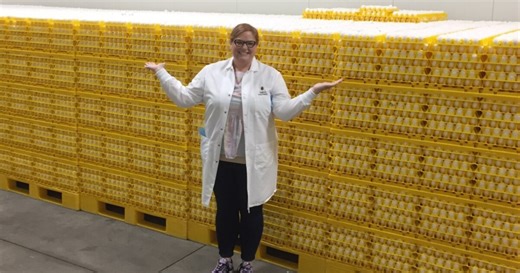Egg prices have taken a beating. What's behind the drop?