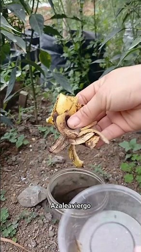 Bury This Banana Peel Jar In Your Soil! 🍌