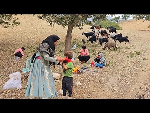 102K views · 1.6K reactions | Embracing Nature’s Bounty- Gathering Acorns on a Rainy Day in a Nomadic Tribal Village | Village Cooking | Facebook