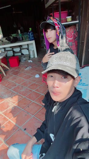 Understanding Bat Behavior in Urban Environments