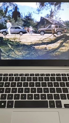 Arachnophobia Movie Rated Halloween Horror Movies #Halloween #Arachnophobia #Spider #Spiders #Horror #Comedy #B #Movie #Movies #Movietok #Rate #Rating #Review #Reviews