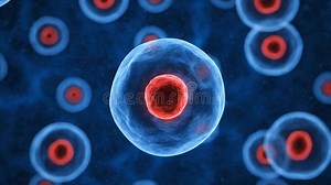 Microscopic View of Biological Cells with Red Nuclei and Blue Cytoplasm in a Dark Blue Cellular Environment with Subtle Light Stock Footage - Video of tissue, genetics: 415000730