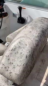 Restoring And Cleaning Vinyl Seats