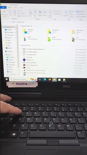 Windows File Explorer shortcut #5
