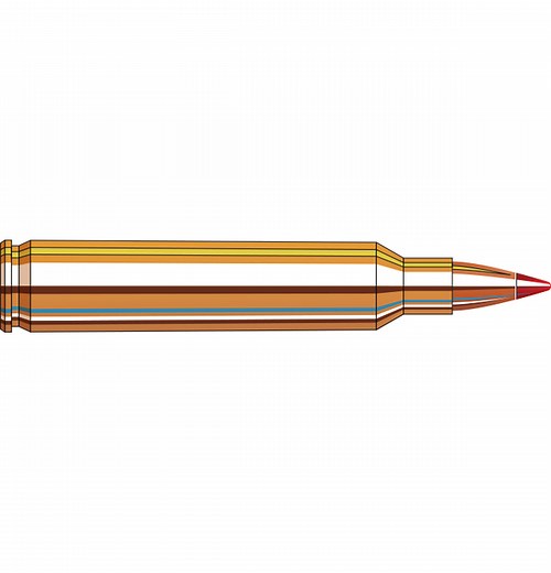 204 Ruger 32 gr V‑MAX® Superformance - Hornady Manufacturing, Inc