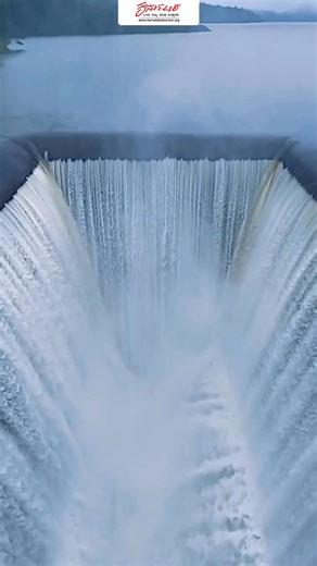 49K views · 3.2K reactions | Embrace the enchanting beauty of...