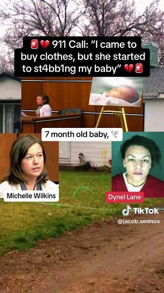 Michelle Wilkins | Craigslist Attack | Dynel Lane | 911 Call