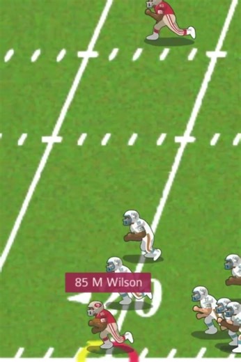 1984 49er vs Dolphins (highlight) Mike Wilson touchdown pass.