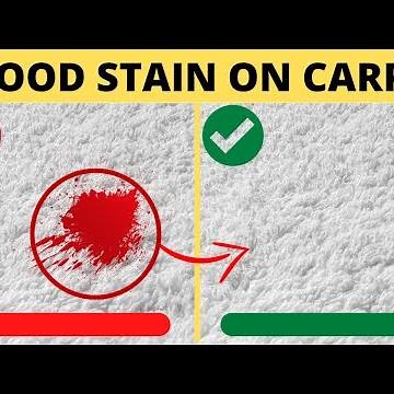 How to Get Blood Out of Carpet With Vinegar | Homemade Stain Remover for Carpet