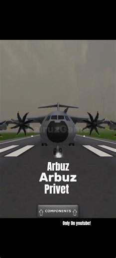 Arbuz Arbuz Privet meme | #turbopropflightsimulator #flightsimulator #tfs #memes #meme #funny