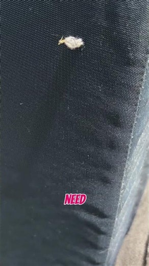 In this video, we’re showing a close-up of clothes moth pupae