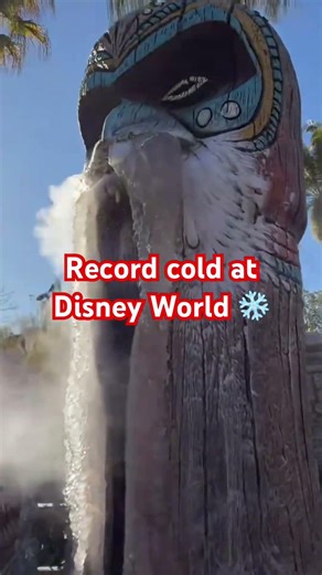Disney World’s Tiki Gods FROZE ❄️ (24°F Morning Shock)