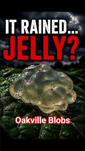 The Oakville Blobs Explained