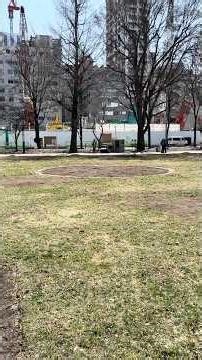 【春の嵐の中トランペット🎺練習】札幌大通公園2026年4月6日