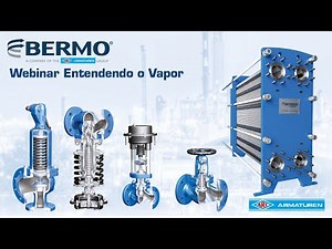 Entendendo o Vapor | Aula Bermo - ARI Armaturen
