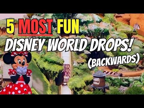 The 5 Most Fun Disney World Drops - Backwards - Full POV