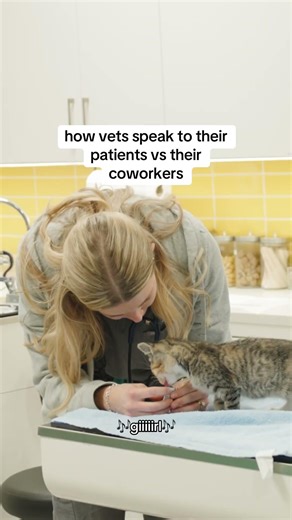 how vets speak to their patients vs their coworkers 🥰 #vetmed #veterinarian #vet