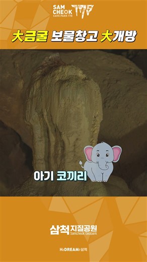 와본적 있니? #삼척의 자연유산 #대이리 동굴지대 #환선굴 #대금굴 #케이브파크 #지질공원